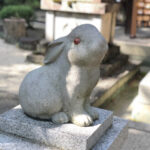 【妊活ブログvol.1】妊活歴4年。タイミング法から体外受精、顕微授精、稽留流産…これまでの経験の記録をスタート